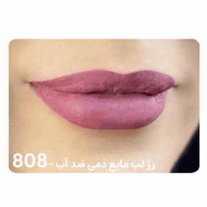 رژ لب مایع دمی ضد آب DEMI 808