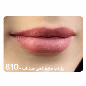 رژ لب مایع دمی ضد آب DEMI 810