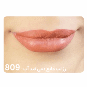 رژ لب مایع دمی ضد آب DEMI 809