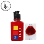b12-pic