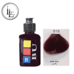 b16-pic