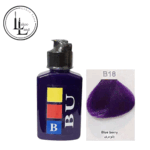 b18-pic