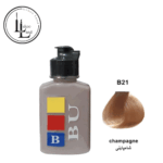 b21-pic