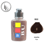 b22-pic